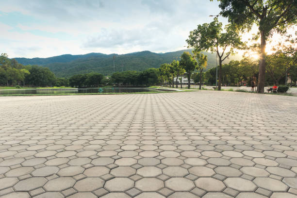 Best Professional Driveway Pavers  in Wyndham, VA